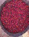 Basket filled with red berries on a textured surface