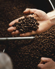 Mexico Grupo Sector Tanetze