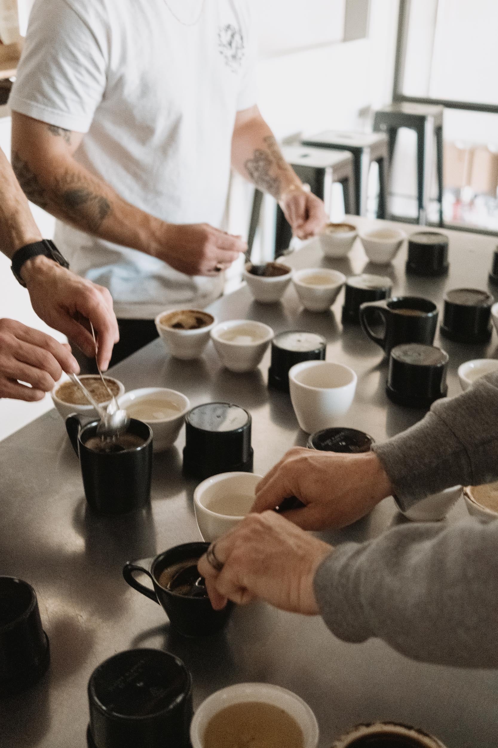 Coffee Cupping...WTF? The Art and Science of Coffee Tasting