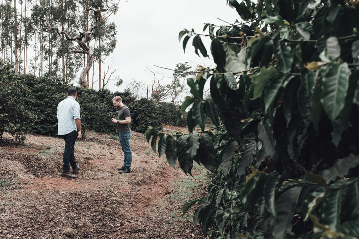 One of Brazil’s finest — Meet coffee farmer Caio Pereira