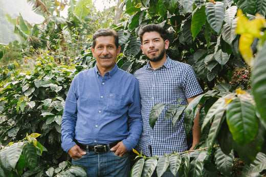 Meet Aurelio Villatoro and the Story of Punta del Cerro