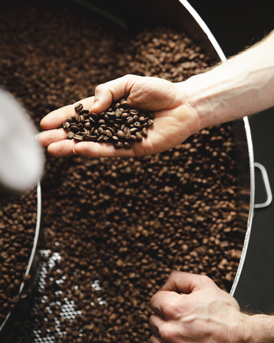 What’s the right grind for this brewer? Wtf?