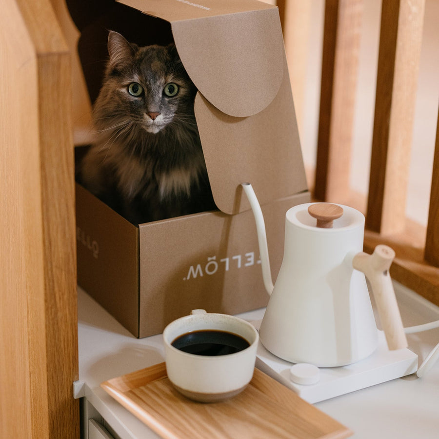 FELLOW Stagg EKG Pro Electric Pour Over Kettle - Matte White and Maple