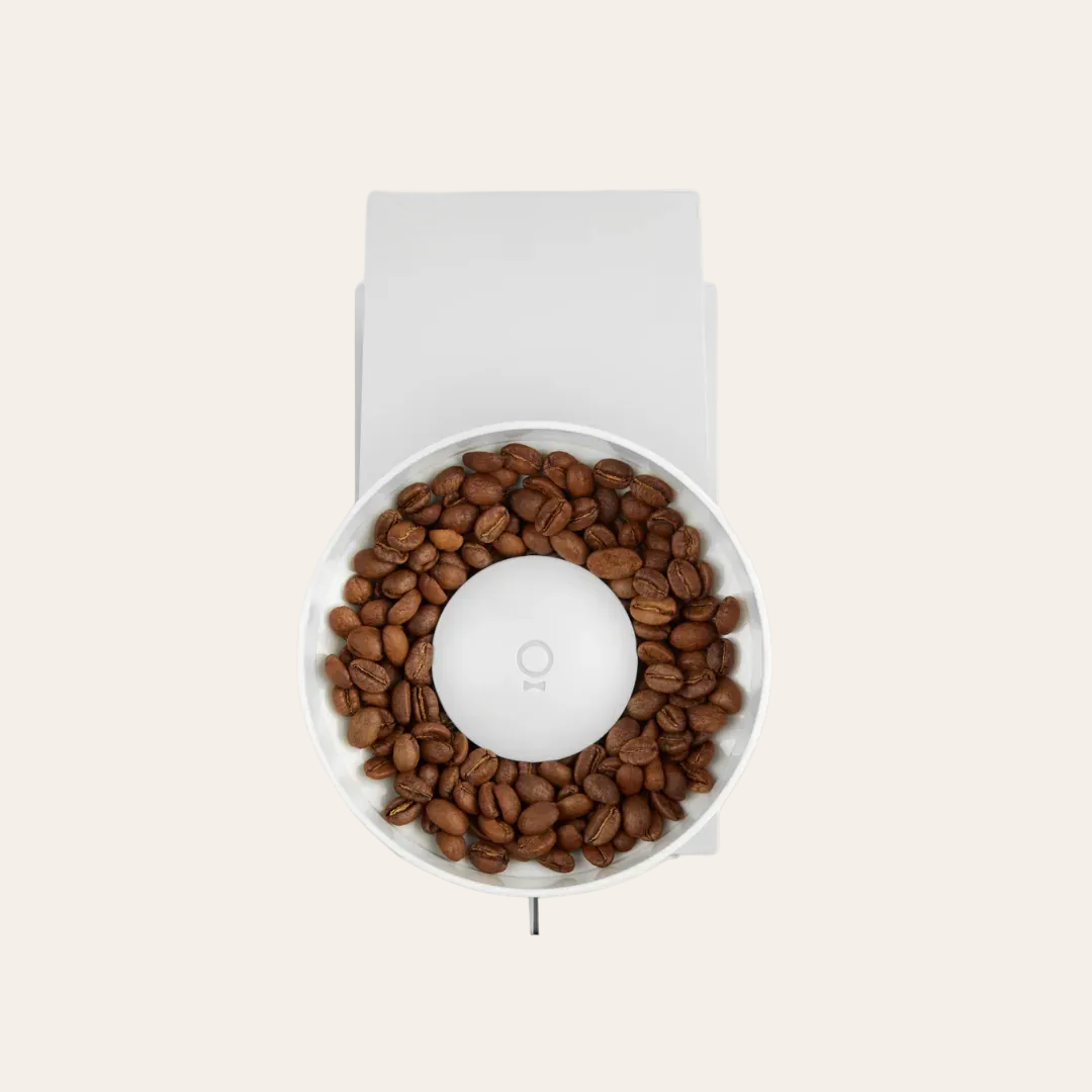 Coffee grinder top down view with beans on a beige background