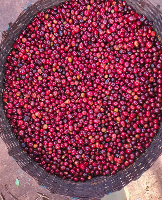 Basket filled with red berries on a textured surface