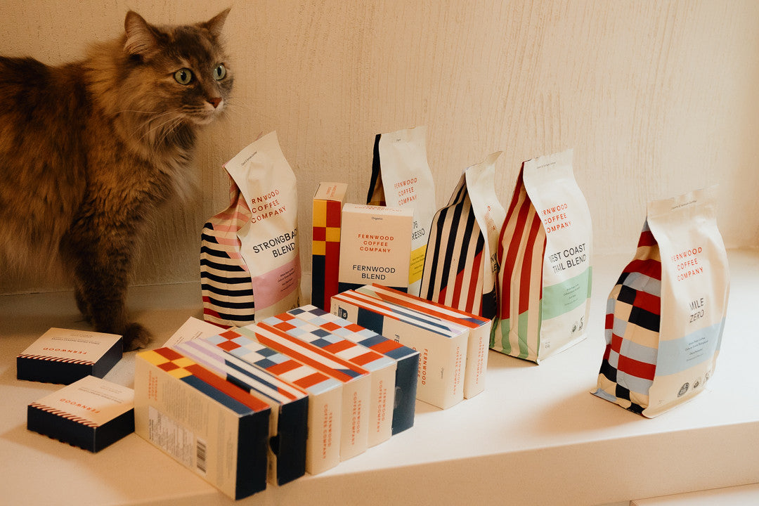 Cat standing next to a display of colorful coffee bags and boxes on a shelf.