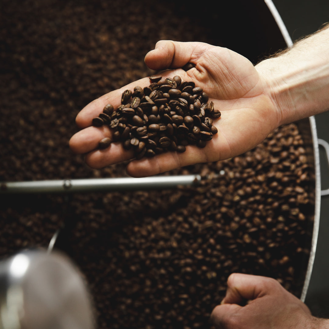 A hand holding coffee beans over a large coffee roaster.