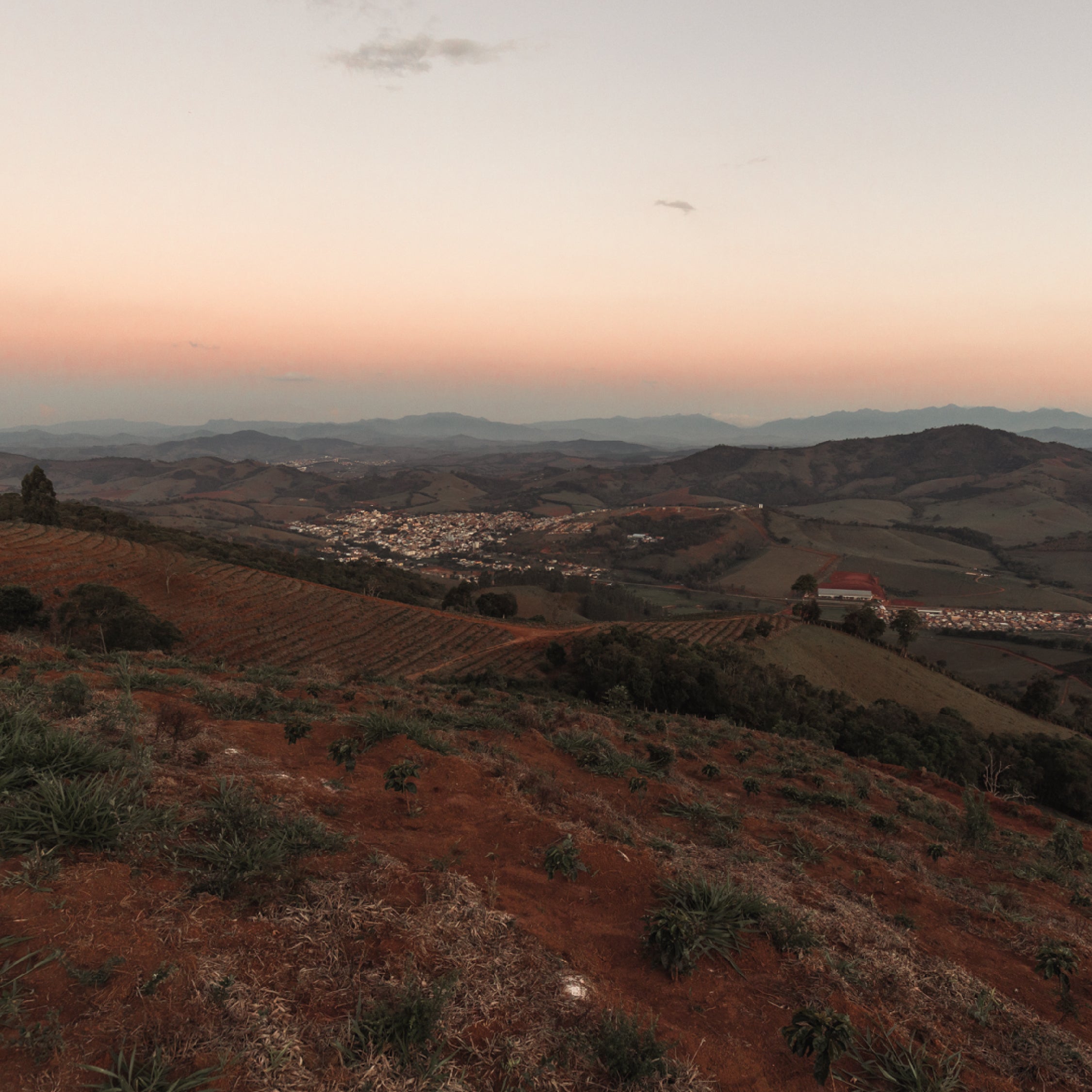 A sunset view over the rolling hills in rural Brazil. Views of coffee farms in the background